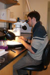 Tom Sizmur examining polycheates
